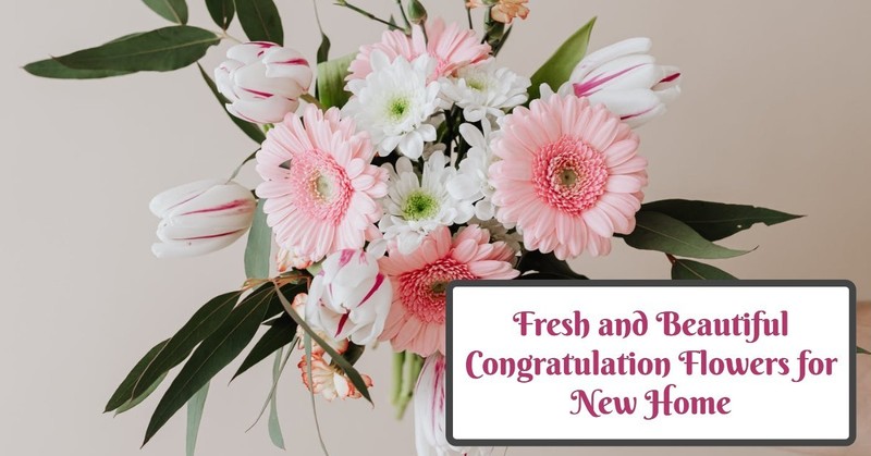 congratulations flowers