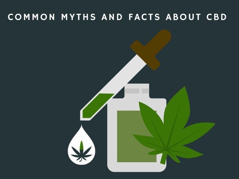 Common myths and facts about cbd